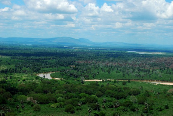 2011 Tanzania Safari
