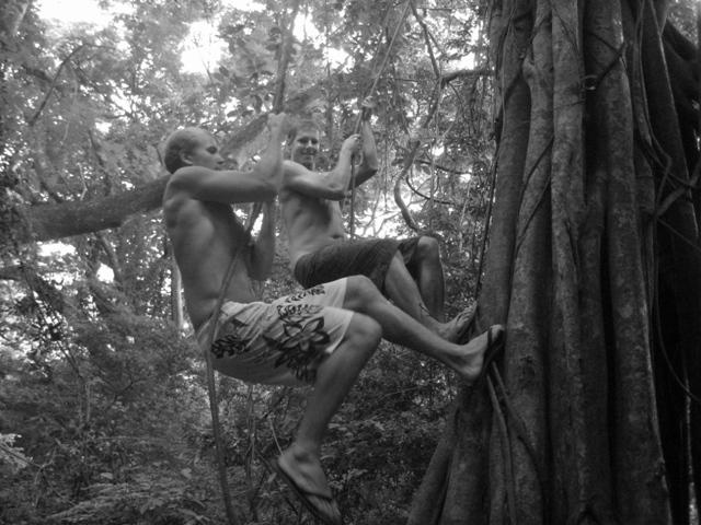 Tarzanin nousussa