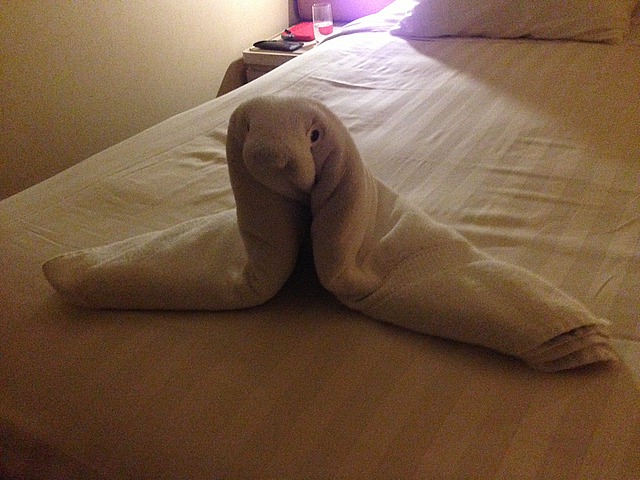 Seal Towel