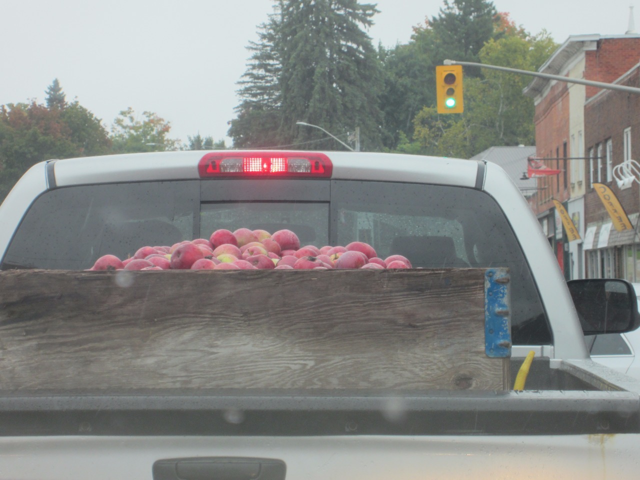 A Load of Apples headed to Market