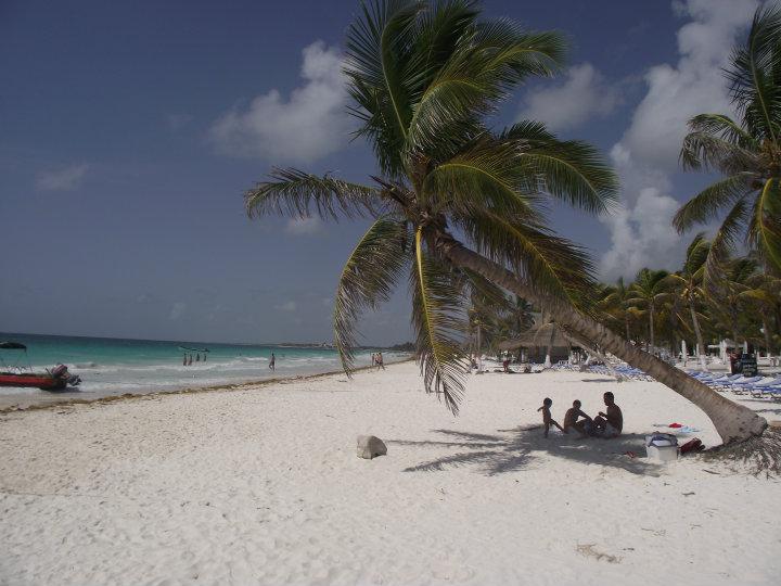 Palmcoated beach in Tulum