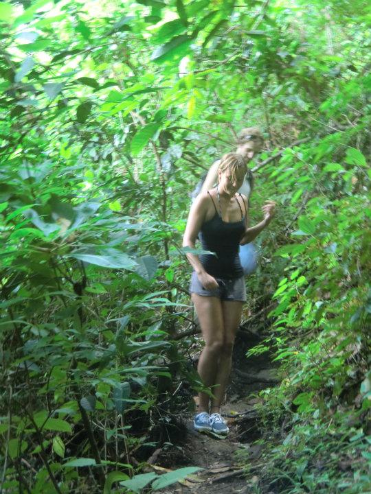 Jungle hike