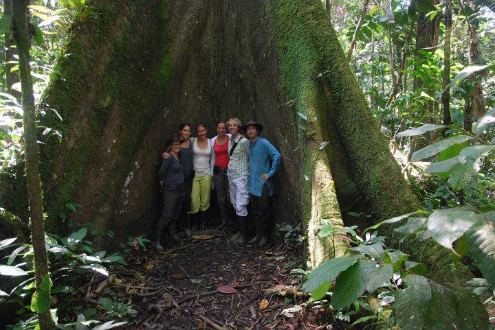 De groep bij een heule grote boom