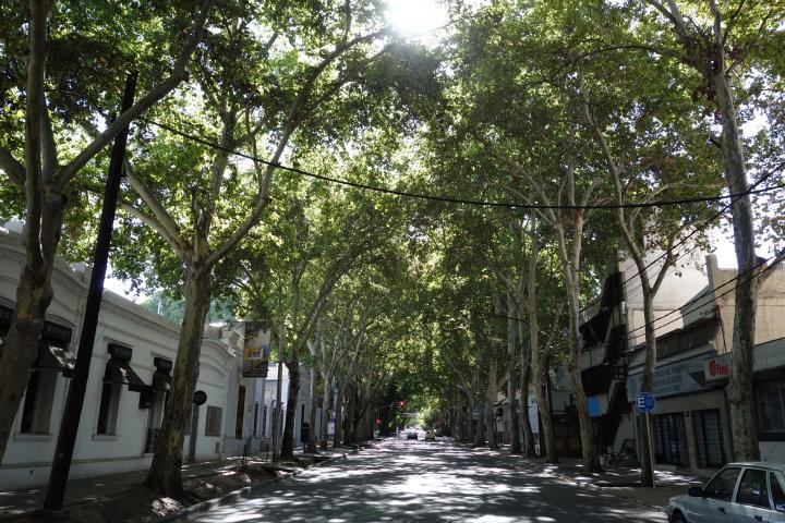 Mooie straten in Mendoza                             