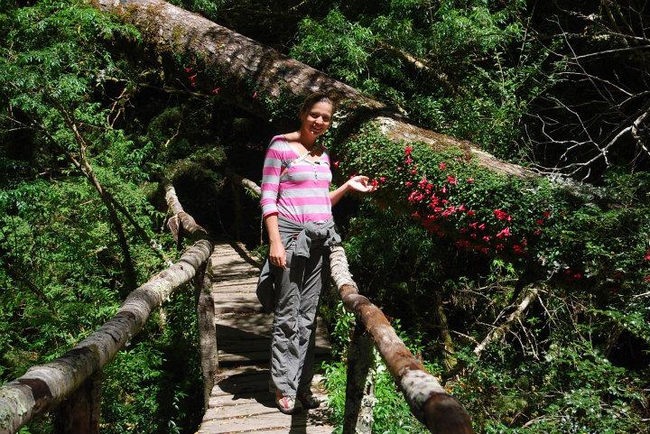 Wandeling door het Bosque Encantada (betoverde bos) in Parque Nacional Queluat
