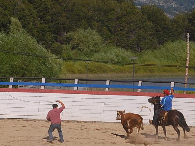 De rodeo: gaucho probeert een opgejaagd kalf te vangen