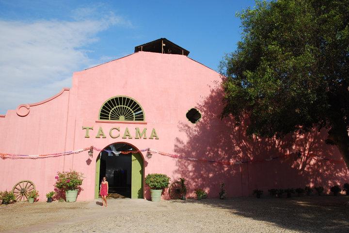 Wijn proeven bij Tacama - Peru's meest bekende wijnhuis