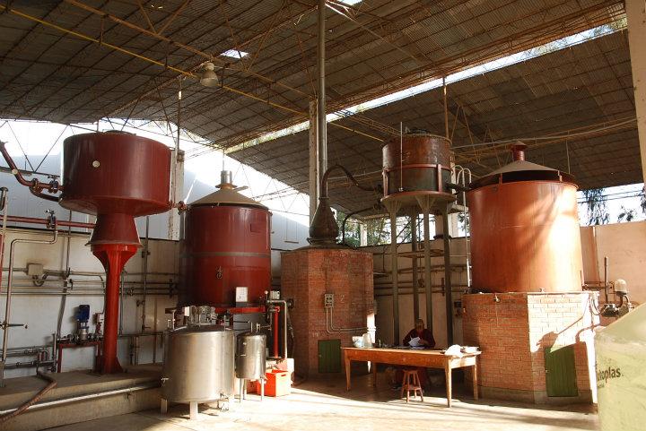 De pisco-distillerij van Tacama