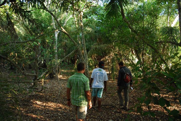 Wandeltoch door de Pantanal