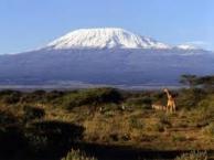 Kilimanjaro Experience