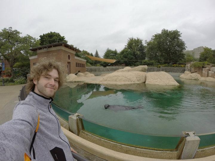 Lincoln Park Zoo - Zeehond selfie
