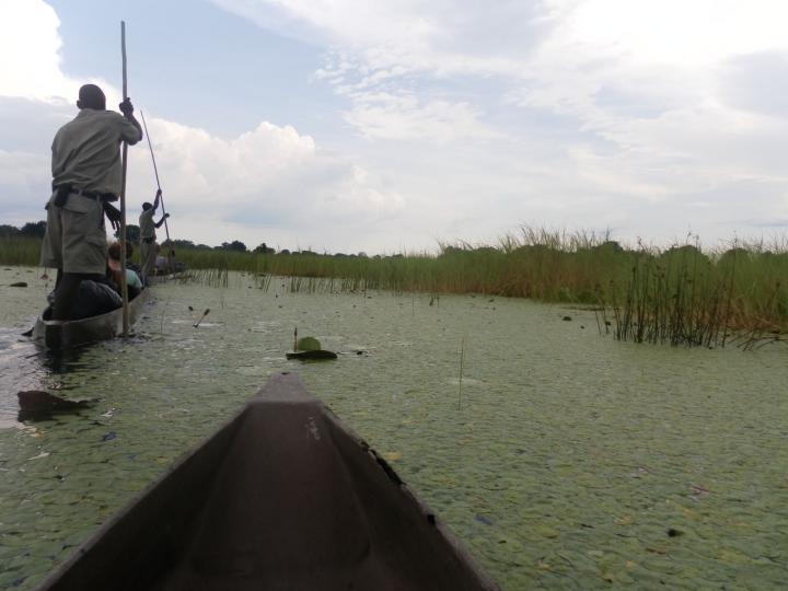 Tur med Makoro båter i Okavango Delta