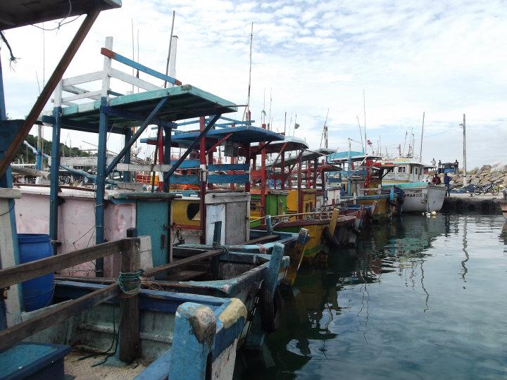 Fiskehamnen i Mirissa