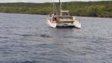 Sailing Polynesia