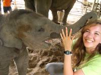 the marvelous adventures of sanne in Thailand