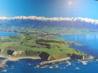 Sarah's New Zealand Adventures