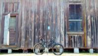 Stacy's Bike Blog
