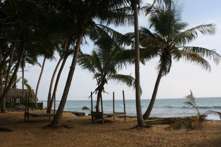 Smukke Hikkaduwa med palmer, strand og sol.. Nu staar den paa surfing!!