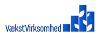 økonomiske regnskabstjenester