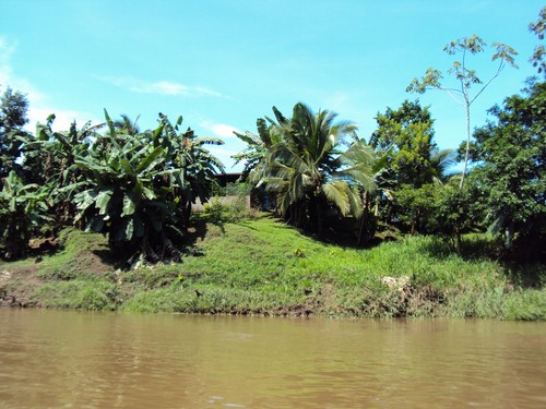 sarapiqur river